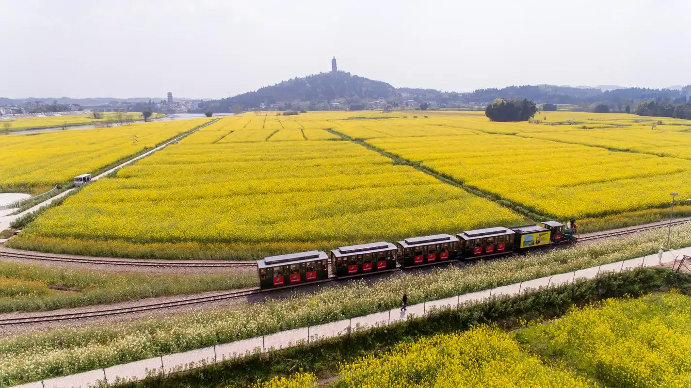 区委书记说②|重庆主城扩容 潼南区这么干!