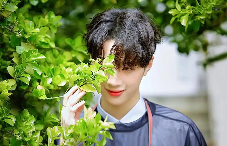 赖冠霖 laikuanlin wanna one - 堆糖,美图壁纸兴趣社区