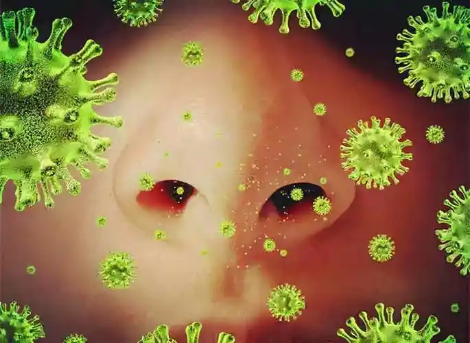 世界十大恐怖病毒排行榜(全球公认10种最可怕的超级病毒)插图18