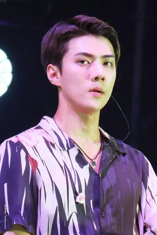 exo 吴世勋 色魂 奶包 sehun 小天