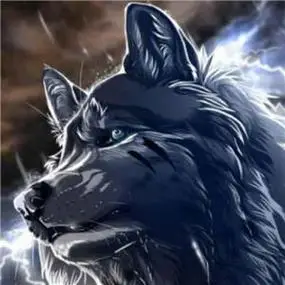 狼的头像霸气高清图片 霸气头像图片大全 -【爱个性】