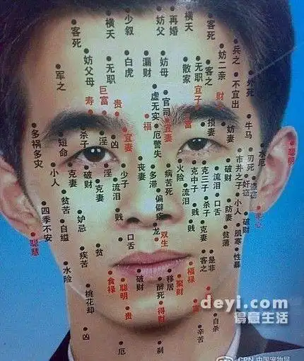 男女痦子,痣对照表~(图) - 得意生活-武汉生活消费社区 - powered by