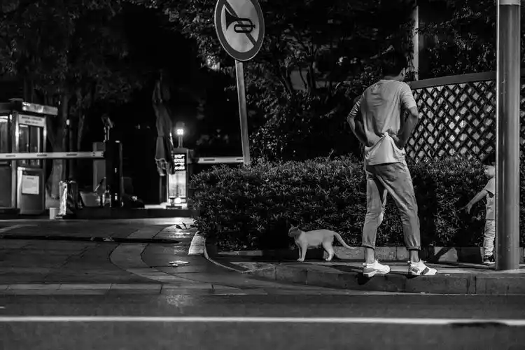 比起白天我更喜欢拍夜晚的街头