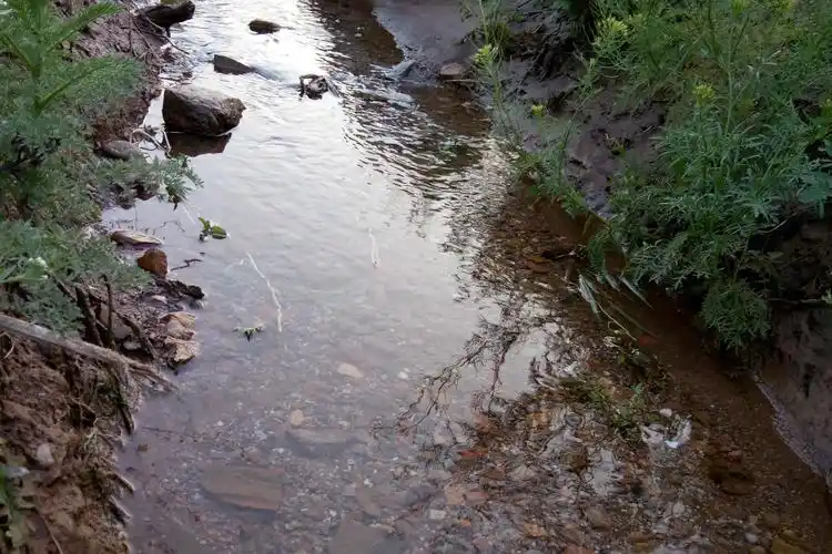 小溪流淌清澈见底