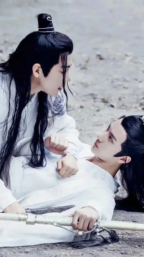 陈情令博君一肖│肖战│王一博