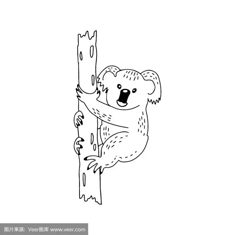 手绘涂鸦可爱的考拉矢量插图孤立在白色的背景.
