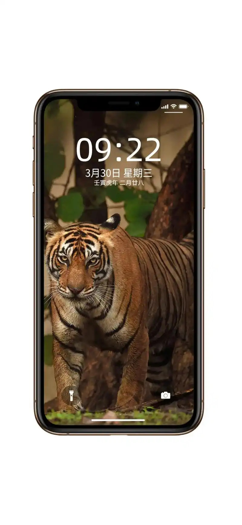 霸气侧漏 #虎  #虎年 #高清壁纸 #全屏壁纸 #超清壁纸 - 抖音