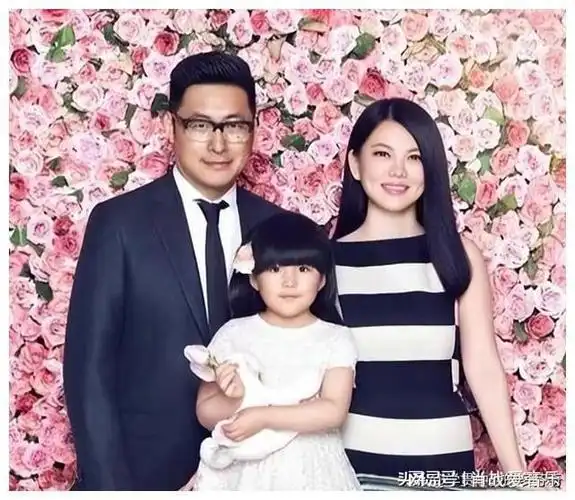 "内娱第一富婆"李湘的发家史,终于知道她为什么那么有钱|何炅|谢娜