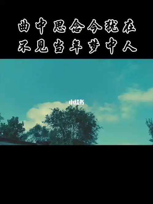 曲中思念今犹在不见当年梦中人