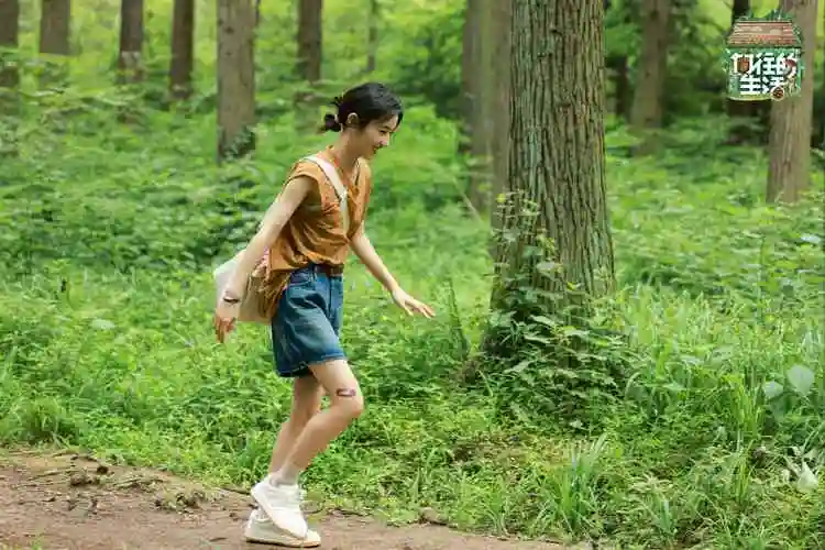 张艺兴彭昱畅张子枫相聚蘑菇屋 《向往的生活》第七季今晚收官