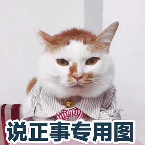 一组可爱猫咪表情包