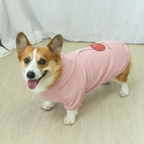 柯基狗狗衣服秋装秋季秋冬保暖冬季可爱网红潮牌宠物小型犬中型犬