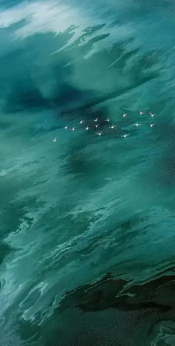 349_690竖版 竖屏