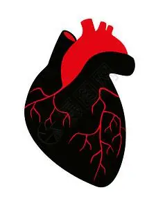 心脏骤停图片