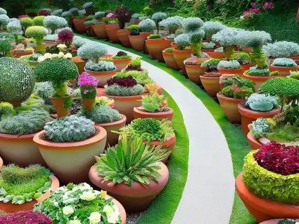 10种多肉植物庭院小径,让你的花园美不胜收!