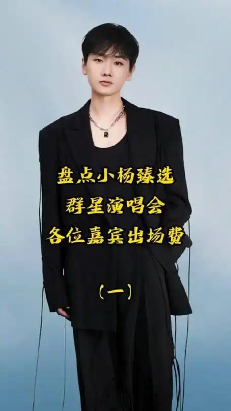 盘点小杨哥演唱会嘉宾出场费汪苏泷260万左右