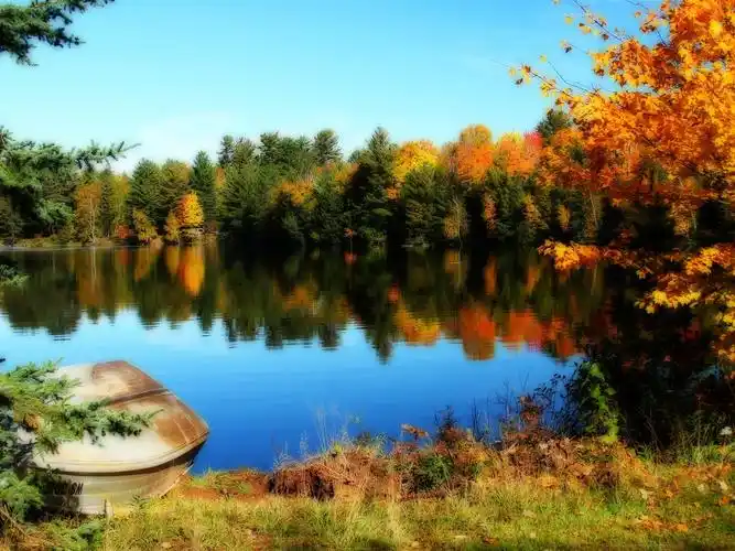 首页 自然和风景 森林和树木 湖和树的美丽秋天 壁纸 湖和树的美丽
