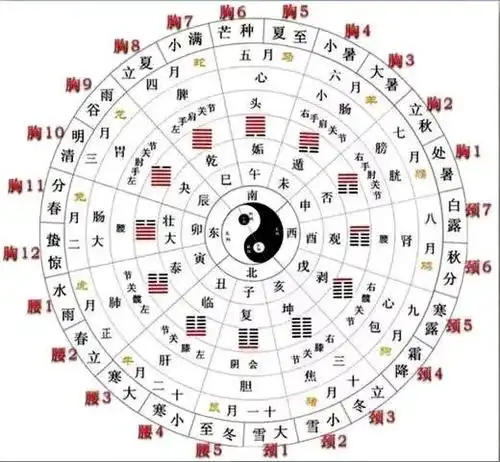 太极八卦图与二十四节气饮茶不仅仅是一种生活方式,还是一种境界,一种