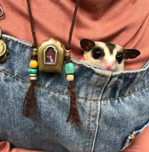 喜欢同色系里面搭配衣服 包包～撞色太显眼了 不适合