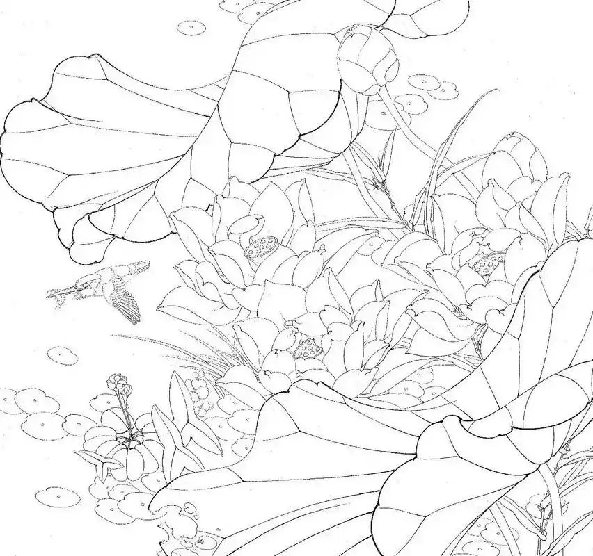 各种各样的荷花~#一起学画画 #少儿美术 #愿所有的美好和期 - 抖音