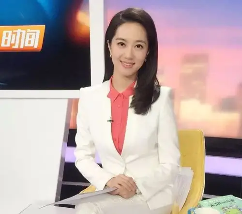 张静,央视财经频道主持人,主持过《购时尚》《消费主张》《第一时间》