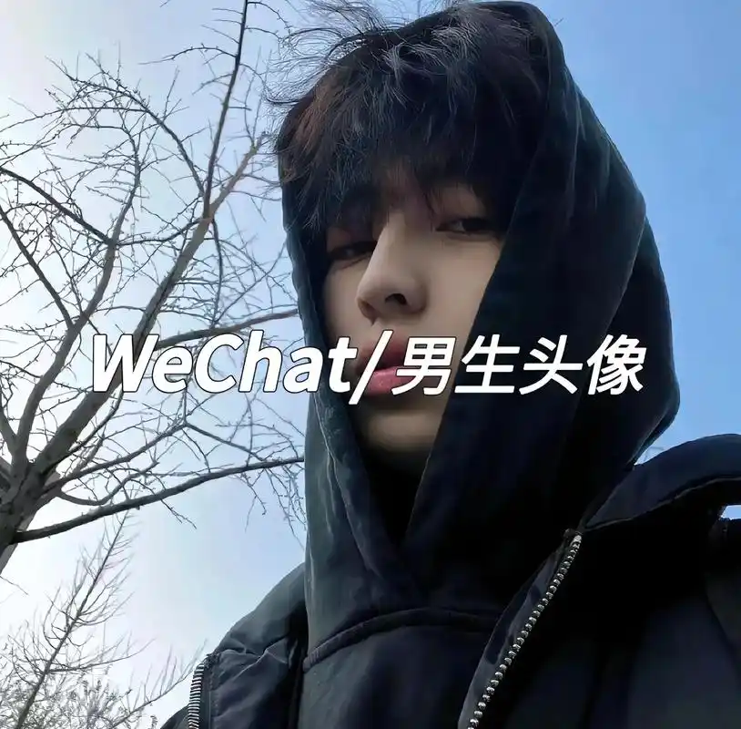 优质男头.wechat男头#风格头像#优质头像 #氛围感男头