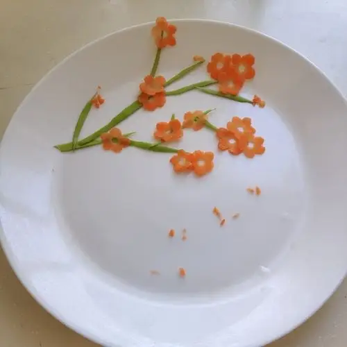 白雪公主的矮人做的胡萝卜梅花(创意盘画の二)