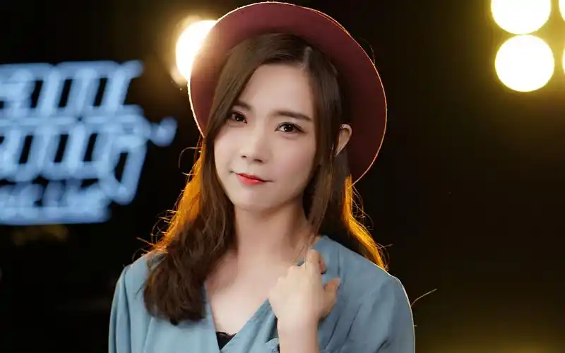 很有共鸣这首几许风雨女声演唱歌声充满柔情