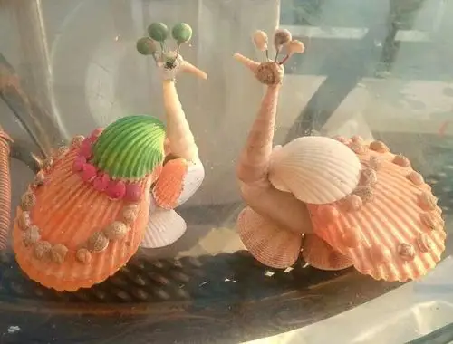 贝壳艺术画……《韵》