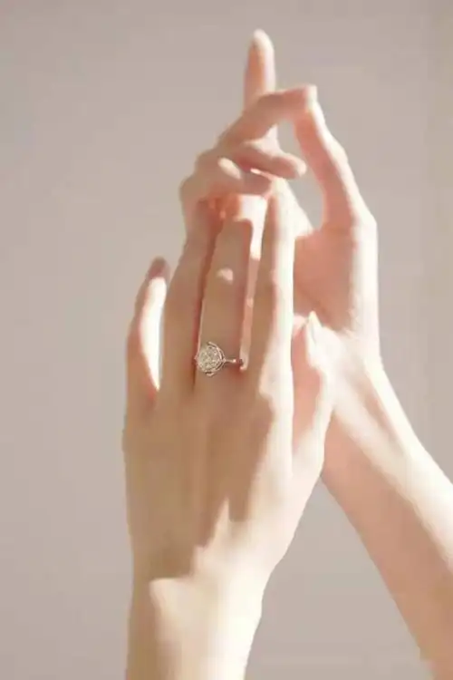 乐趣换了个头像