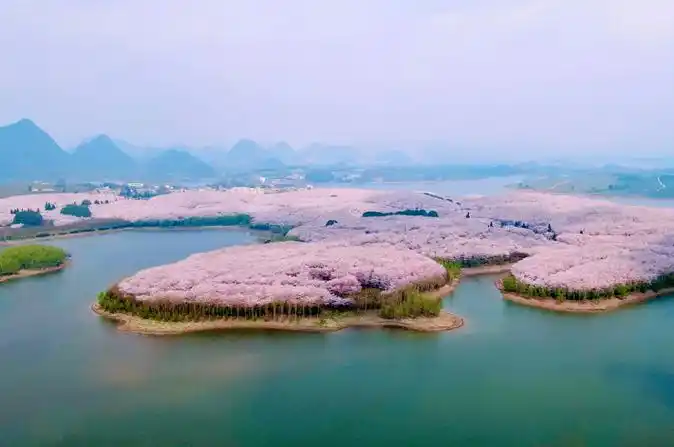 大方旅游自由行线路