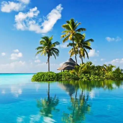 椰林大海_微信头像风景图片_扣扣居