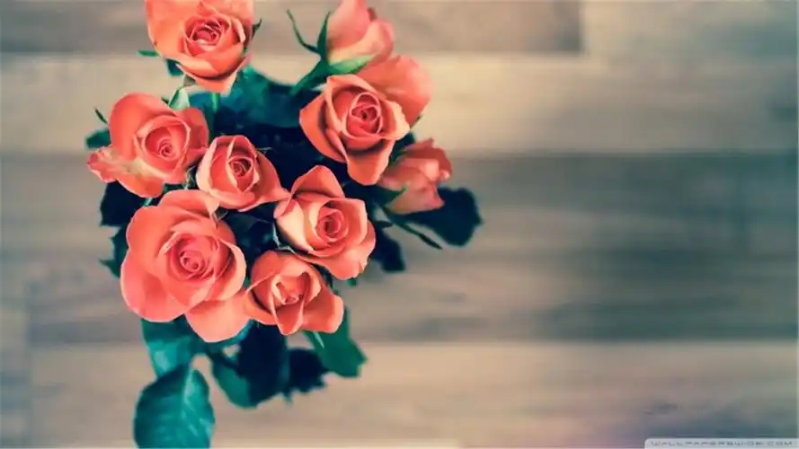 小清新简约花卉好看电脑锁屏背景壁纸