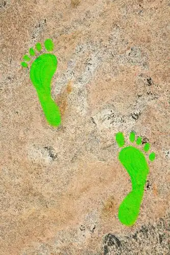 无人,竖图,俯视,室外,特写,白天,绘画,石头,脚印,阴影,朦胧,模糊,艺术