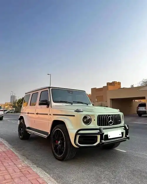 奔驰g级社区_易车社区