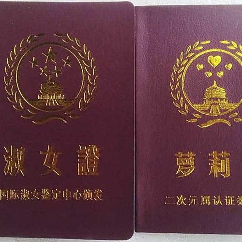 搞笑证书淑女证 萝莉证 天真呆萌耍人证书  可制作照片