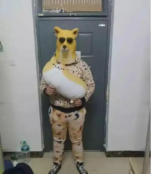 这都是什么沙雕衣服