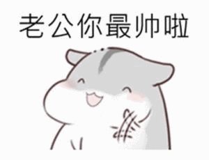 老公你最帅啦 - 斗图表情包 - 斗图神器 - adoutu.com