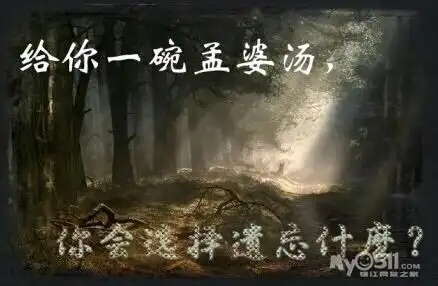 给你一碗孟婆汤你最想忘记什么