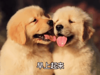 超多人求的表情包!快来收图