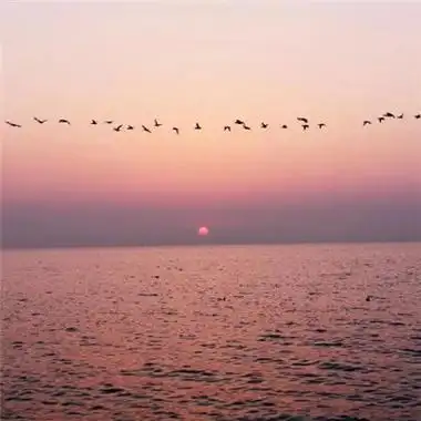 能带来好运的微信头像小清新 有旺运寓意的微信头像图片-微信头像