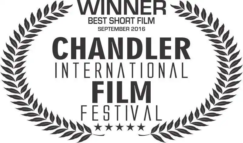 15个国际a类电影节分别是:法国-戛纳国际电影节,意大利-威尼斯国际