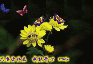 只要你快乐我就开心gif花gif蝴蝶gif中老年人表情包gif祝福gif
