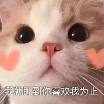 可爱撩人表情包