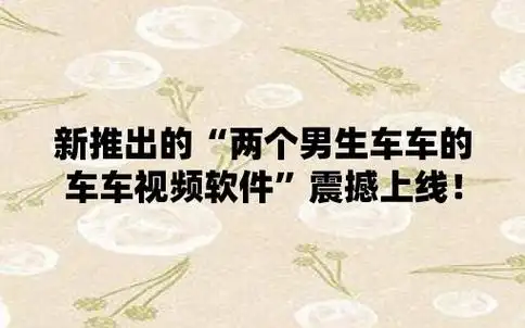 新推出的"两个男生车车的车车视频软件"震撼上线!
