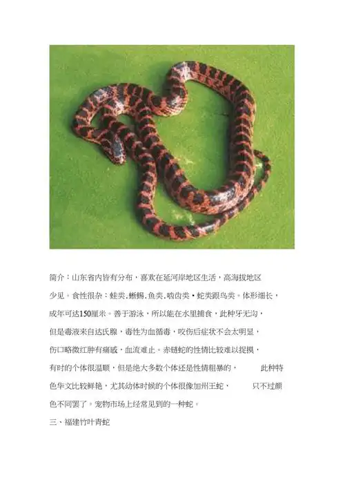 珍藏山东常见的蛇类