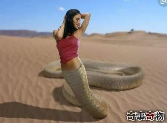 揭秘人头蛇身怪物之谜人的脑袋蛇的身体被巫师控制