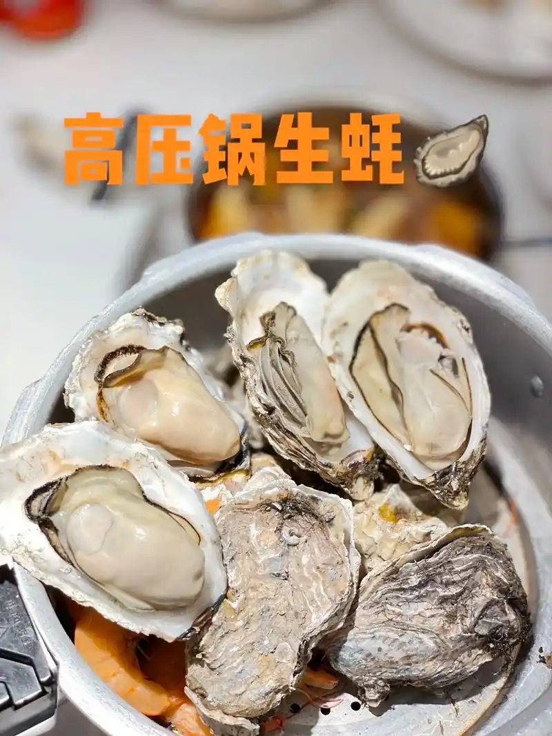 来吃享遇啦94.高压锅生蚝04,蚝气蒸鲜,鲜上加鲜,鲜蚝现蒸 - 抖音