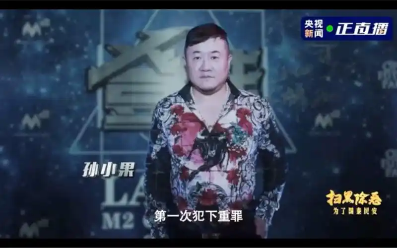 扫黑风暴孙兴原型孙小果一案纪录片