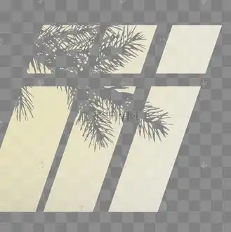 自然光窗户墙面投射光影树叶投影